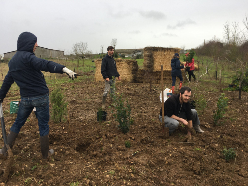 permafforest coapi la rochelle maxime grelier maxime grelier